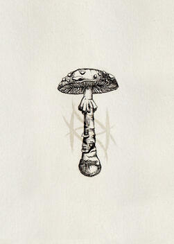 micron pen, amanita muscaria