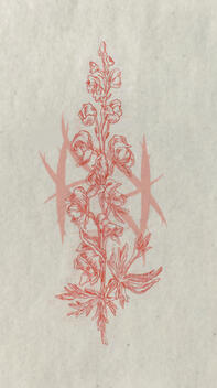 color pencil, devil's helmet