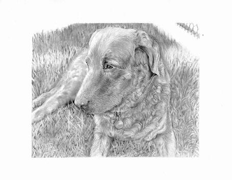 graphite, memorial portrait commission